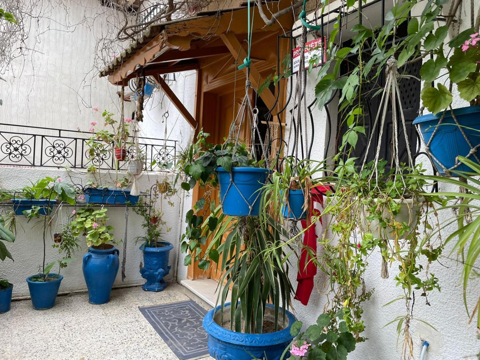 Casa Zitouna - Guest House - Kef, Tunisia El Kef Luaran gambar