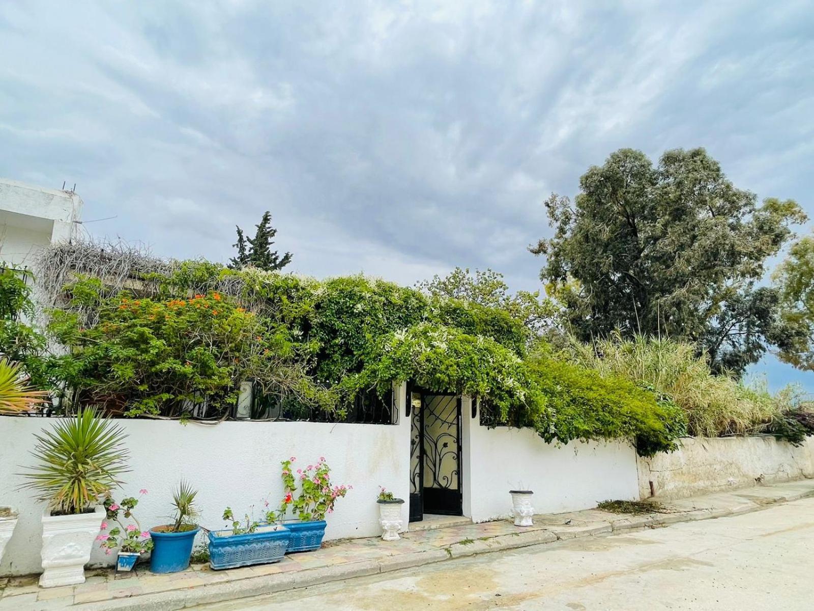 Casa Zitouna - Guest House - Kef, Tunisia El Kef Luaran gambar